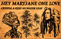 One Love, Maryjane